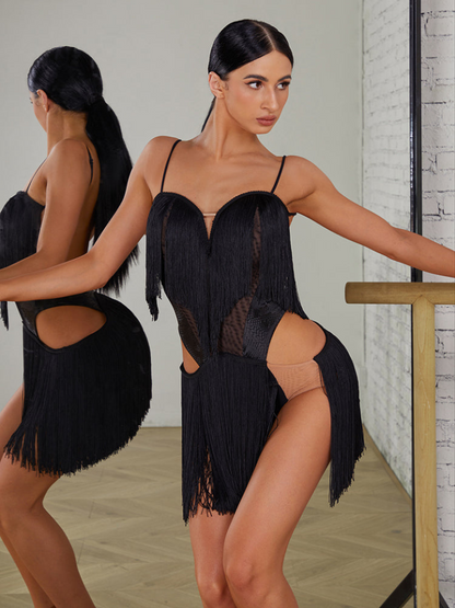 Black Fringe, Mesh, and Snake Skin Latin Dress